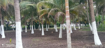 Property for sale in Tindivanam, Pondicherry