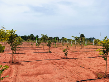 Property for sale in East Coast Road, Pondicherry