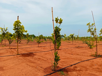 Property for sale in East Coast Road, Pondicherry