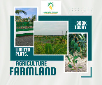 Agricultural/Farm Land for Sale in Thirukazhukundram, Chennai (9600 Sq.ft.)