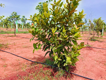 Property for sale in Pulipakkam, Chengalpattu