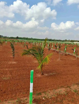 Property for sale in Alapakkam, Chengalpattu