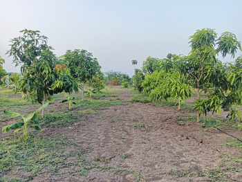 Property for sale in Tindivanam, Chennai