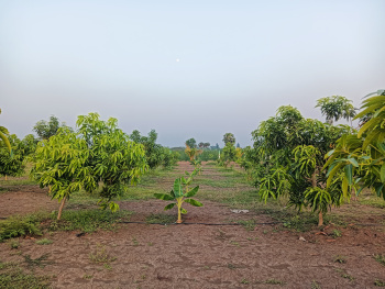 Property for sale in Tindivanam, Chennai