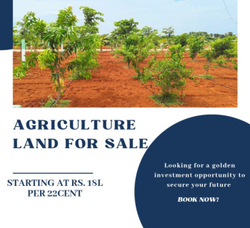 Agricultural/Farm Land for Sale in Kalpakkam To Vandalur Road, Chennai (12000 Sq.ft.)