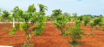 Property for sale in Kalpakkam To Vandalur Road, Chennai