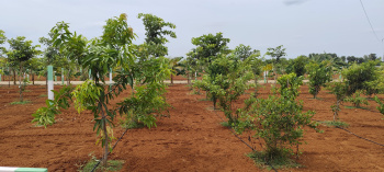 Property for sale in Kalpakkam To Vandalur Road, Chennai