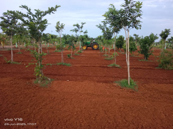Property for sale in Kalpakkam To Vandalur Road, Chennai
