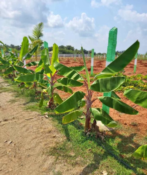 Property for sale in Kalpakkam To Vandalur Road, Chennai
