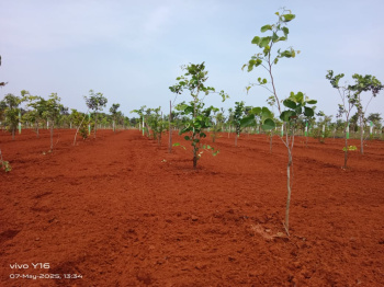 Property for sale in Kalpakkam To Vandalur Road, Chennai