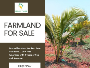 Agricultural/Farm Land for Sale in Vittilapuram, Chengalpattu (10000 Sq.ft.)