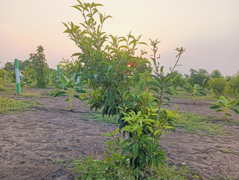 Property for sale in Pulipakkam, Chengalpattu