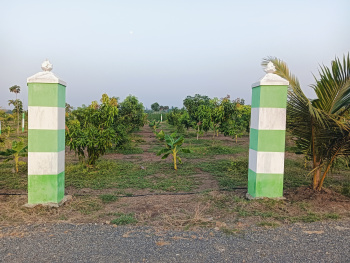 Property for sale in Vittilapuram, Chengalpattu