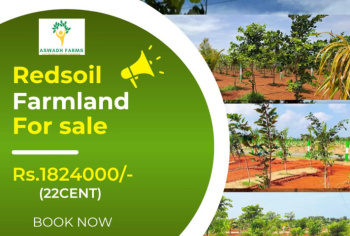 10000 Sq.ft. Agricultural/Farm Land for Sale in Koonimedu, Pondicherry