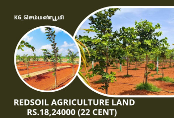 KG_செம்மண்பூமி