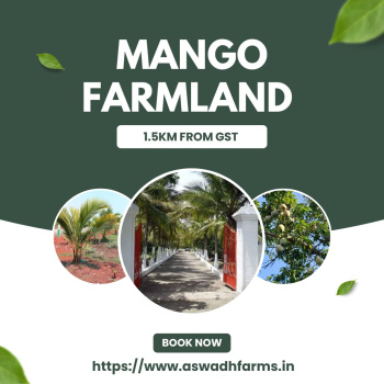 Agricultural/Farm Land for Sale in Acharapakkam, Chengalpattu (9800 Sq.ft.)