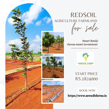 Agricultural/Farm Land for Sale in Chennai (9900 Sq.ft.)