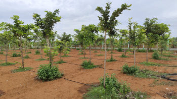 Property for sale in East Tambaram, Chennai