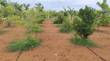 Property for sale in East Tambaram, Chennai