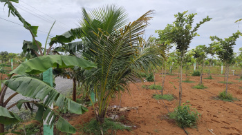 Property for sale in East Tambaram, Chennai