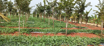 Farm land for sale near chennai