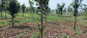 Property for sale in Mahindra City, Chennai