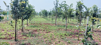 Property for sale in Mahindra City, Chennai