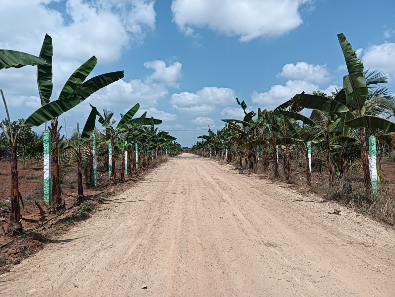 Agricultural/Farm Land for Sale in Cheyyur, Kanchipuram (9600 Sq.ft.)