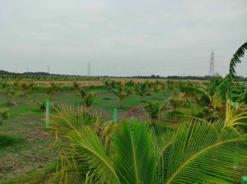 Agricultural/Farm Land for Sale in Uthiramerur, Kanchipuram (9600 Sq.ft.)