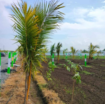 Property for sale in Uthiramerur, Kanchipuram
