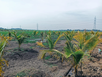 Property for sale in Uthiramerur, Kanchipuram