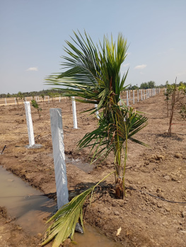 Agricultural/Farm Land for Sale in Salavakkam, Kanchipuram (250 Sq.ft.)