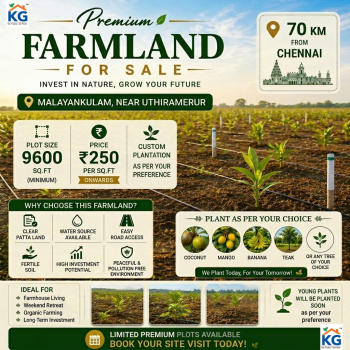 KG_ Pannai nilam malaiyankulam