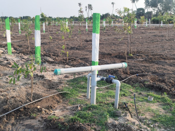 Agricultural/Farm Land for Sale in Bukkathurai, Chengalpattu (9600 Sq.ft.)