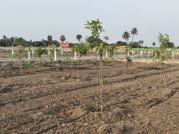 Property for sale in Bukkathurai, Chengalpattu