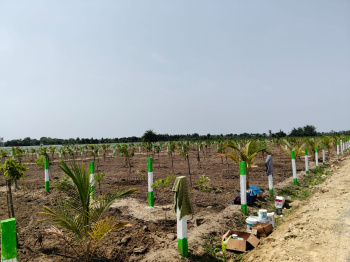 Property for sale in Walajabad, Kanchipuram