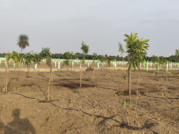 Property for sale in Mahindra World City, Kanchipuram