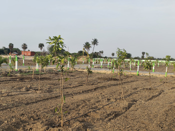 Property for sale in Mahindra World City, Kanchipuram