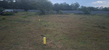 Property for sale in Potheri, Chennai