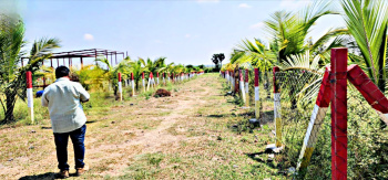 Agricultural/Farm Land for Sale in Maduranthakam, Chengalpattu (10000 Sq.ft.)