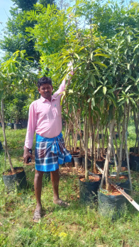 Property for sale in Pulipakkam, Chengalpattu