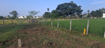 Residential Plot for Sale in Guduvancheri, Chennai (3074 Sq.ft.)
