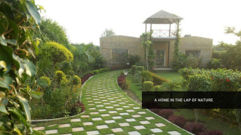 1008 Sq. Yards Agricultural/Farm Land for Sale in Sector 135, Noida