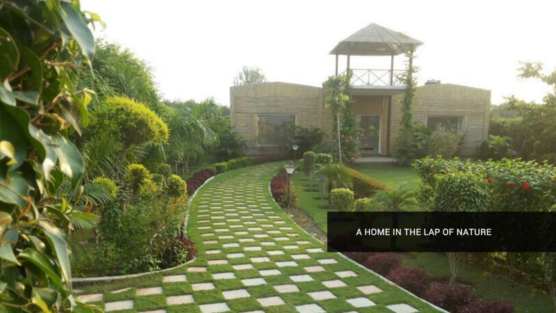 1008 Sq. Yards Agricultural/Farm Land For Sale In Sector 135, Noida