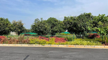 Sites/Plots for Sale Near Kempegowda International Airport, devanahalli,(BIAAPA Approved)  Bengaluru