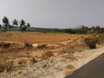 Property for sale in Narasapura, Kolar