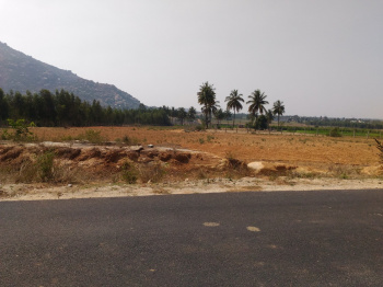 Industrial Converted Land for Sale Near Narsapura Industrial Area, Kolar