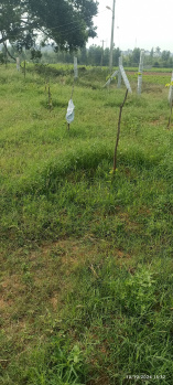 Property for sale in Narasapura, Kolar