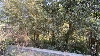 Property for sale in Mall Road Manali, 