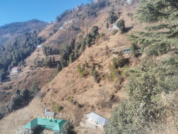 4 Bigha Commercial Lands /Inst. Land For Sale In Fagu, Shimla